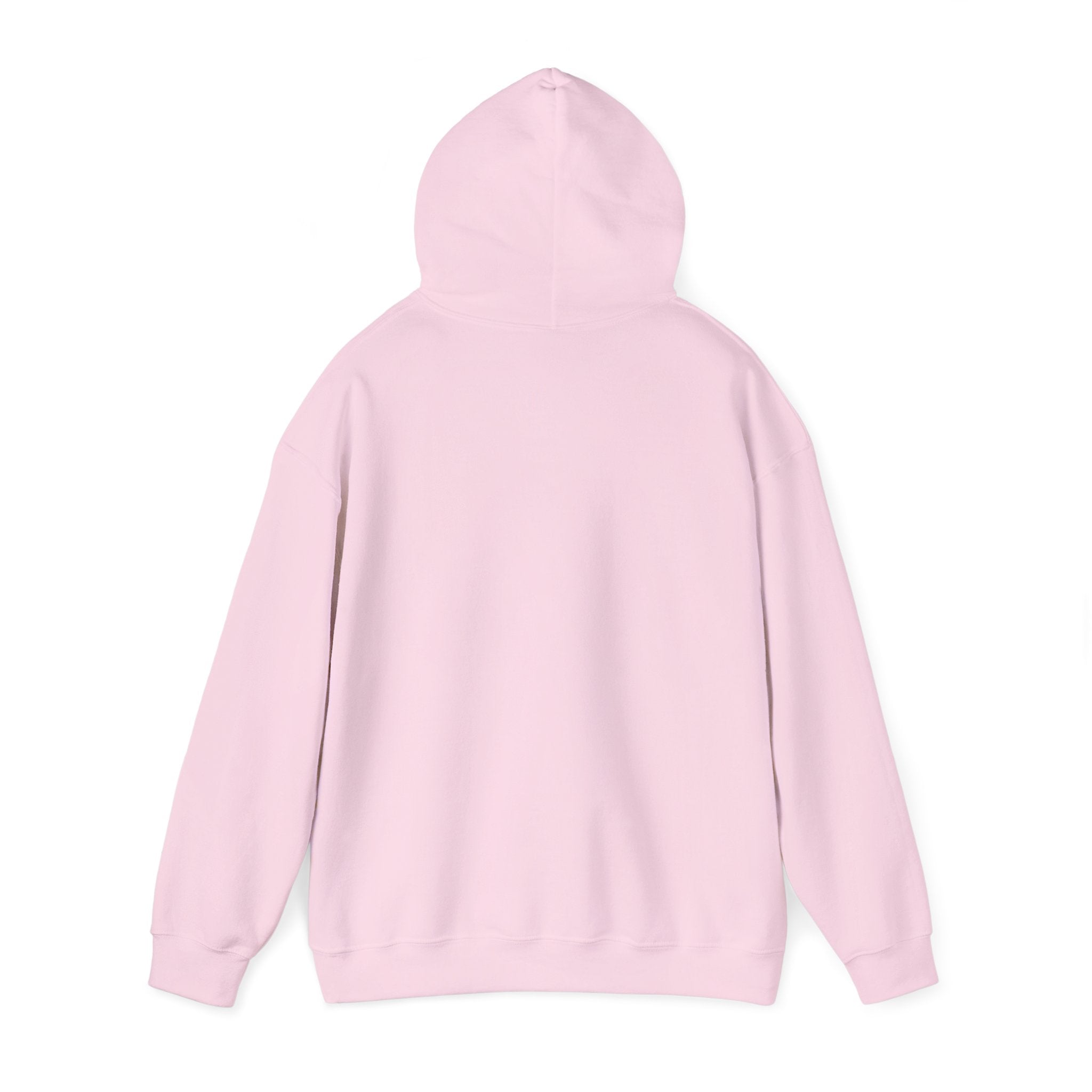 Hooded Sweatshirt 'Love Who You Want! Nothing Matters! Everyone Dies' Crewneck Sweatshirt – Queer Streetwear Cozy Essential