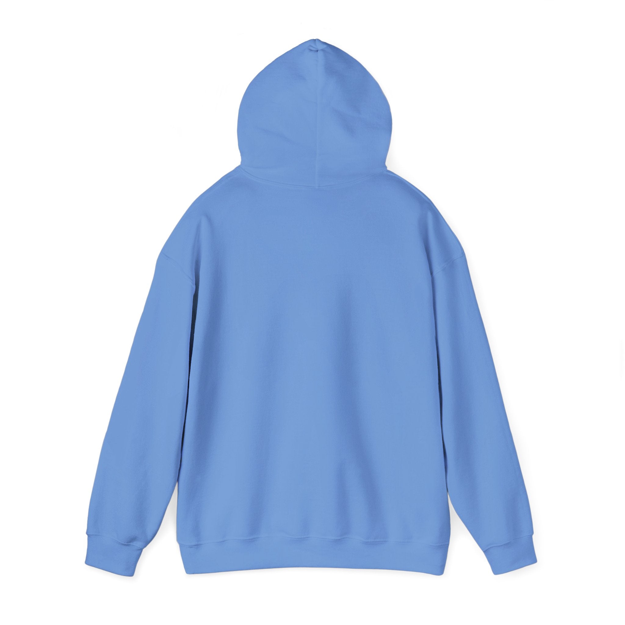 Abomination Unisex Heavy Blend™ Hooded Sweatshirt Crewneck Sweatshirt – Queer Streetwear Cozy Essential