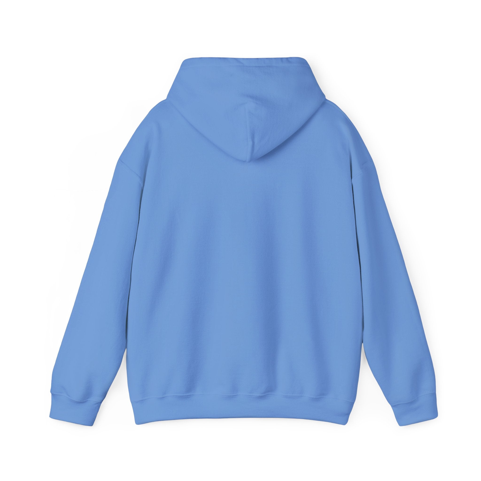 Abomination Unisex Heavy Blend™ Hooded Sweatshirt Crewneck Sweatshirt – Queer Streetwear Cozy Essential
