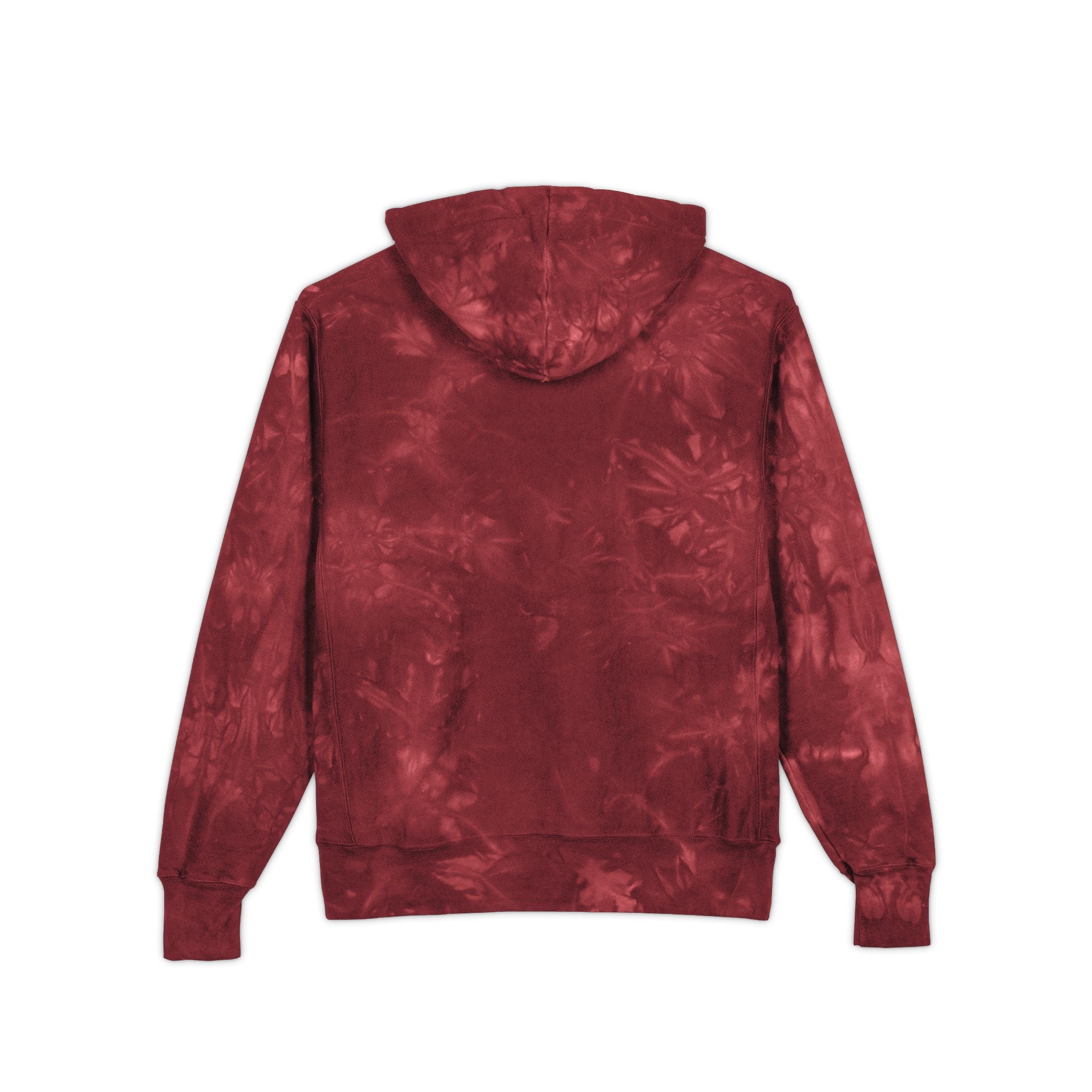 Unisex Champion Tie Hoodie – Bold Queer Streetwear Essential