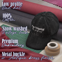 Embroidered Vintage Dad Hat Snapback Trucker Cap – Embroidered Queer Streetwear Hat