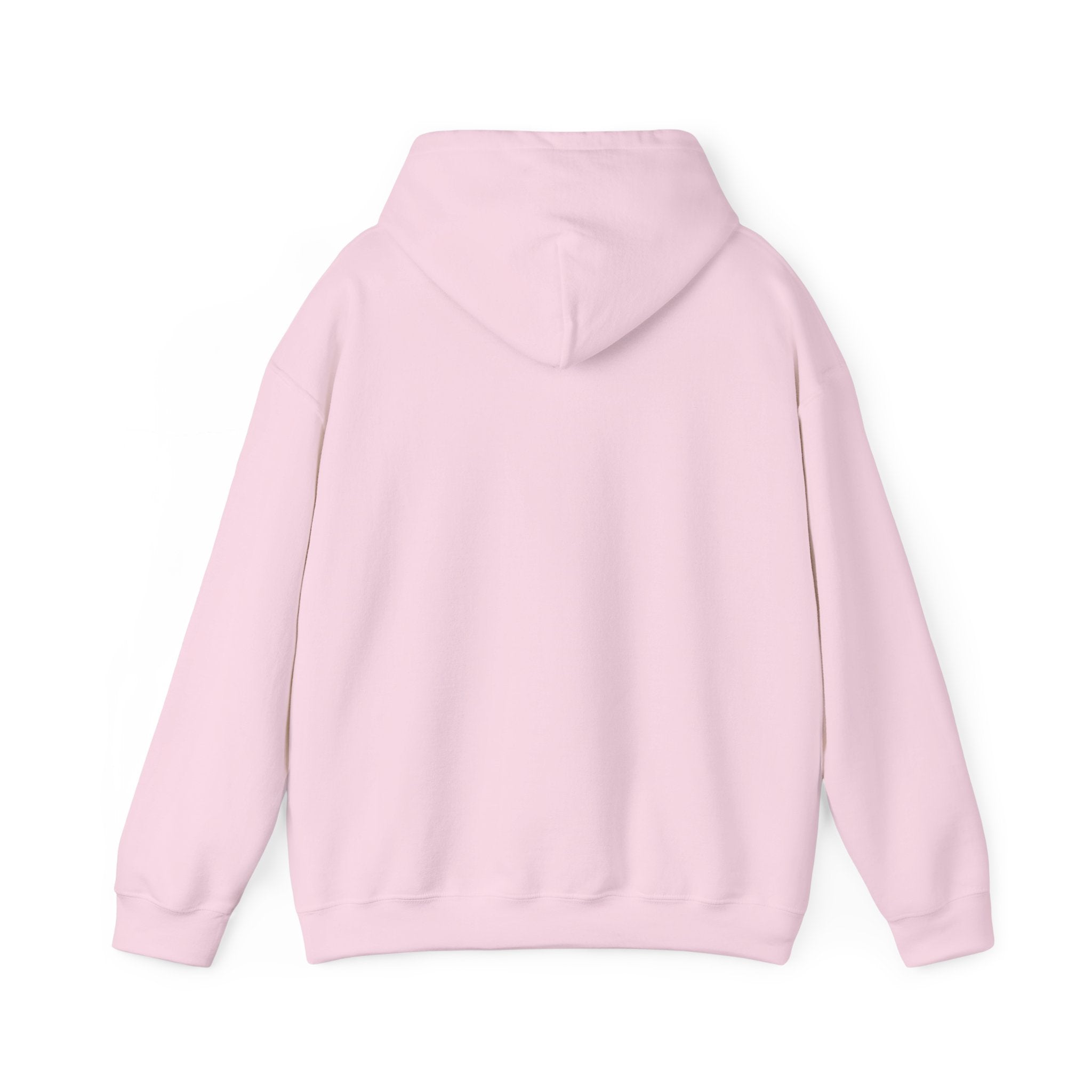 Hooded Sweatshirt 'Love Who You Want! Nothing Matters! Everyone Dies' Crewneck Sweatshirt – Queer Streetwear Cozy Essential