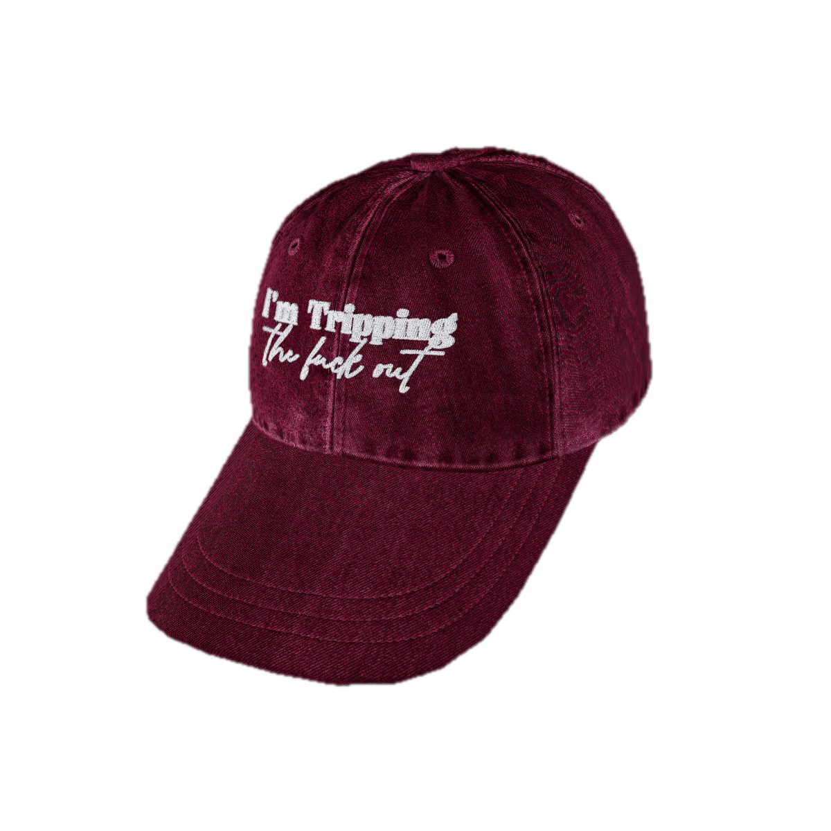 Embroidered Vintage Dad Hat Snapback Trucker Cap – Embroidered Queer Streetwear Hat