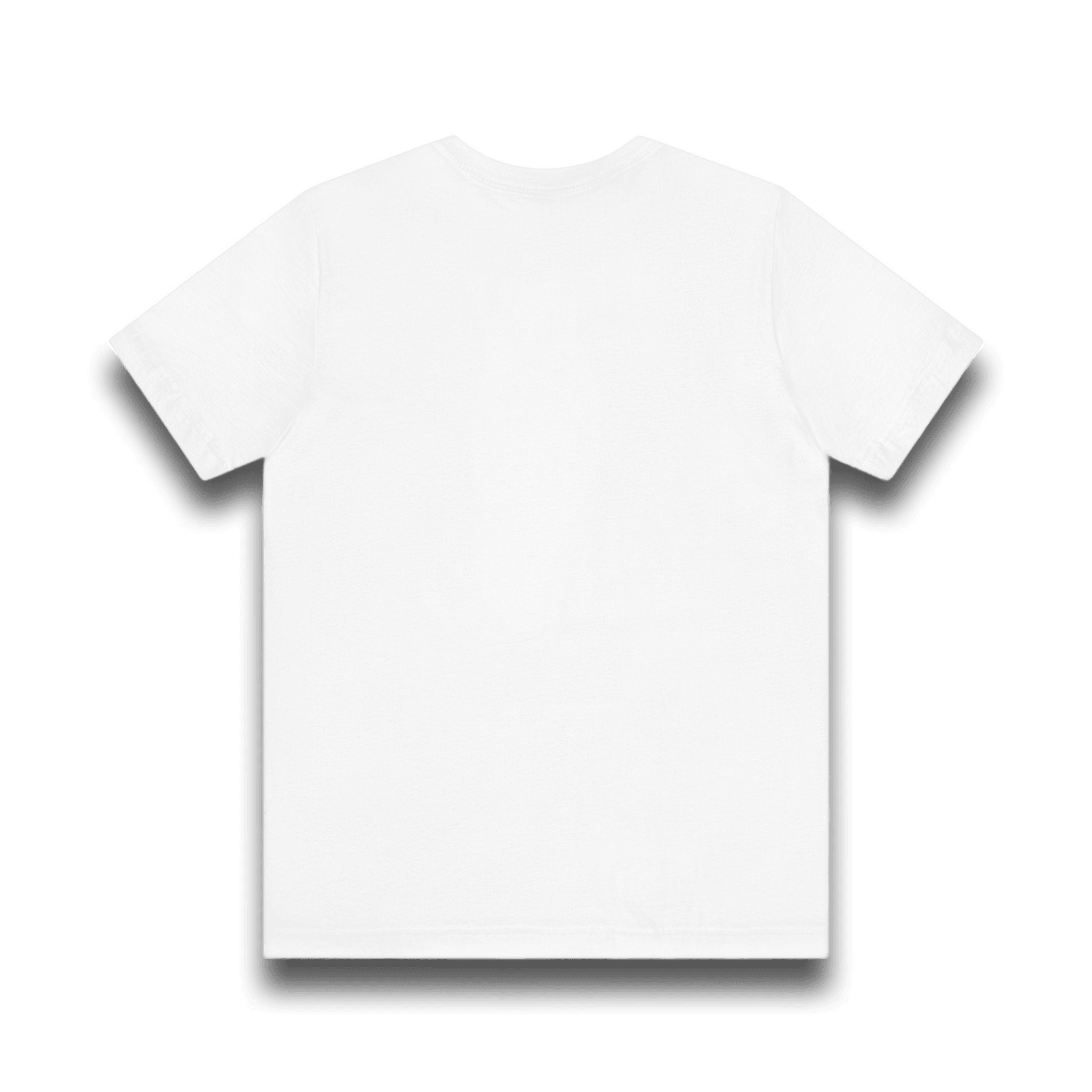 "Gays are using windmills to waft homosexual mists into your home" Tee Shirt Unisex T-Shirt – Bold Queer Streetwear Graphic Tee